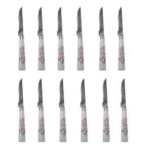 کارد میوه خوری کد 00347 بسته 12 عددی