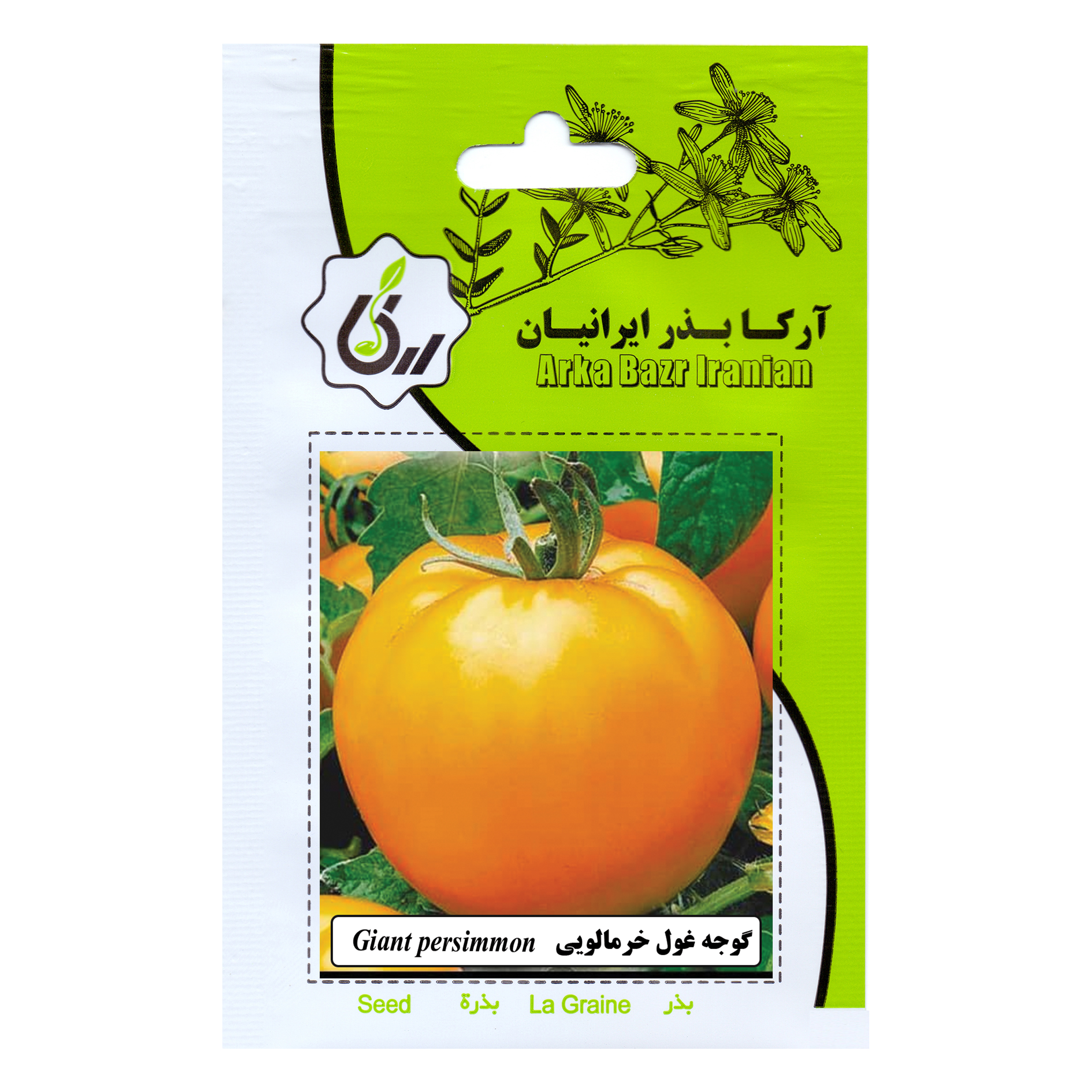 بذر گوجه غول خرمالویی آرکا بذر ایرانیان کد 148-ARK