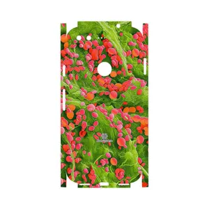 MAHOOT Atom Universe 3-FullSkin Cover Sticker for Google Pixel