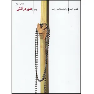 کتاب راوی هور در آتش روایت طلاییه و زید اثر جعفر شیرعلی نیا انتشارات فاتحان