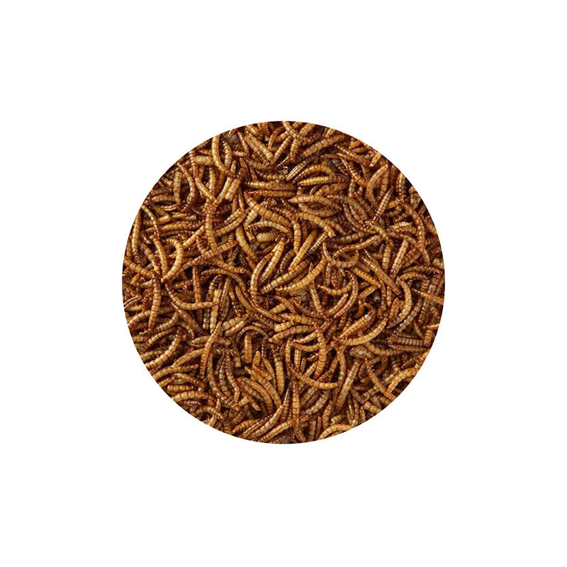 تشویقی پرندگان شهر پت مدل Mealworm وزن 100 گرم