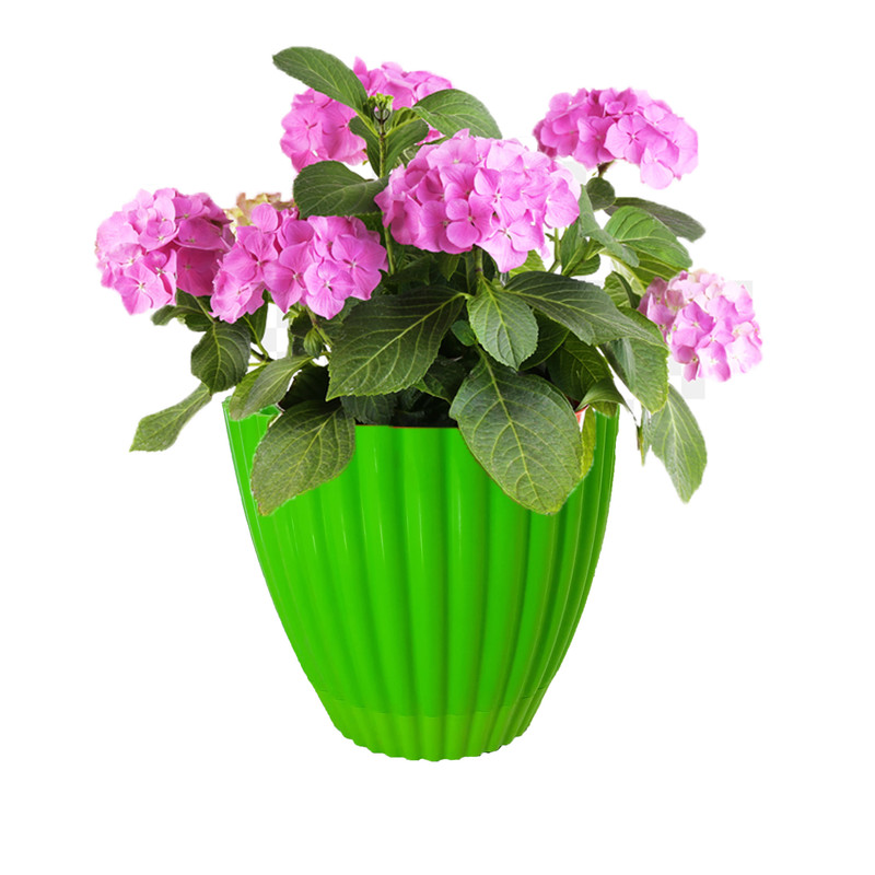 گلدان مدل ستاره 02 گلدان مدل ستاره 02