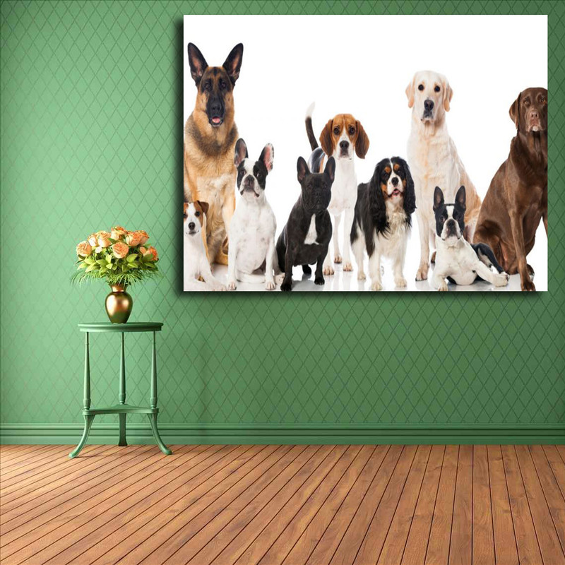 تابلو شاسی مدل سگ کد 16