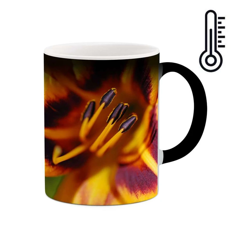 ماگ حرارتی کاکتی مدل گل کد mgh12040