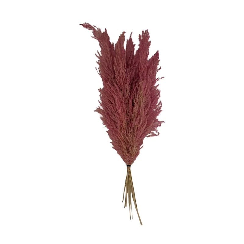 گل خشک مدل علف جارو کد ۱۰