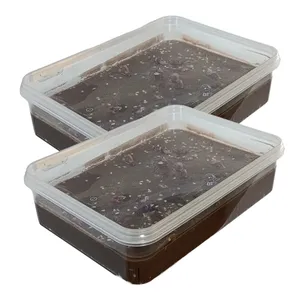 حلوا ارده شکلاتی با شکر قهوه ای جالینوس - 500 گرم بسته 2 عددی