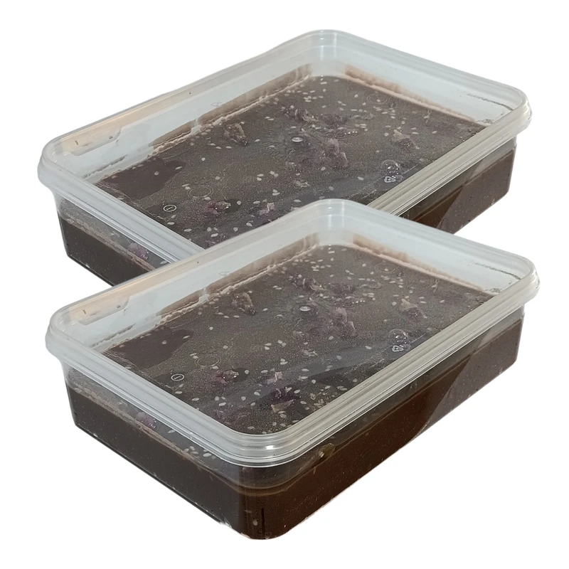حلوا ارده شکلاتی با شکر قهوه ای جالینوس - 500 گرم بسته 2 عددی
