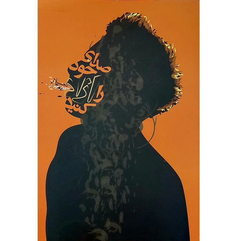 کتاب صدای خود را آزاد کنید اثر راجر لاو انتشارات آواز