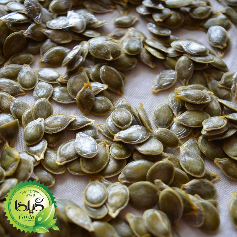 بذر کدو مغزی پوست کاغذی گیلدا کد 775