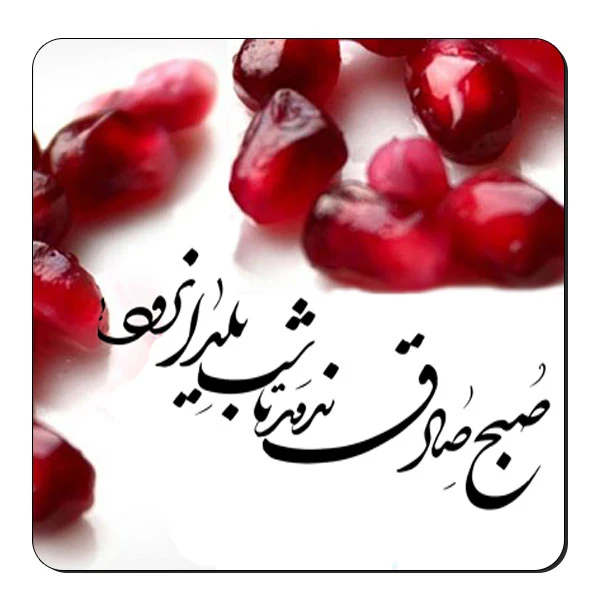 زیر لیوانی طرح انار یلدا کد nzl601