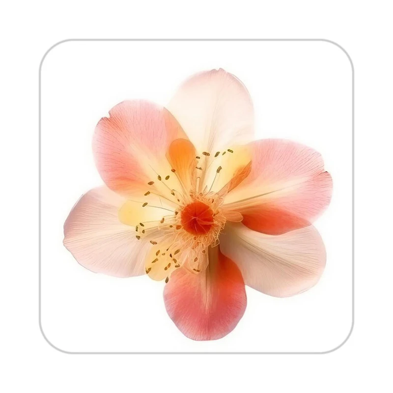 زیر لیوانی کاکتی طرح گل مدل mp17529