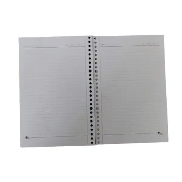 دفتر کلاسور 100 برگ گلبرگ کد 9376526 به همراه کاغذ کلاسور بسته 100 عددی