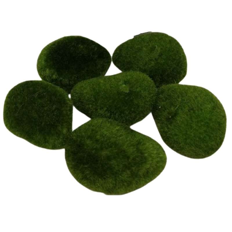 اسفنج گل طرح سنگ مجموعه 6 عددی