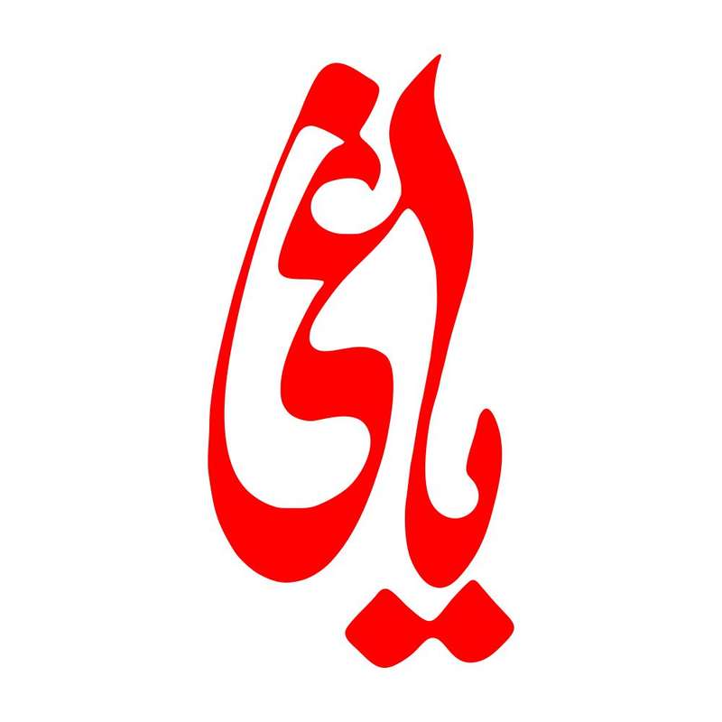 برچسب بدنه خودرو طرح یاغی کد MT-R373 