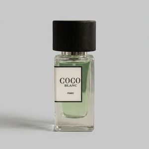 عطر جیبی مردانه کوکو بلان مدل مگاموند با رایحه خنک و دریایی و آروماتیک با حجم ۳۰ میلی لیتر