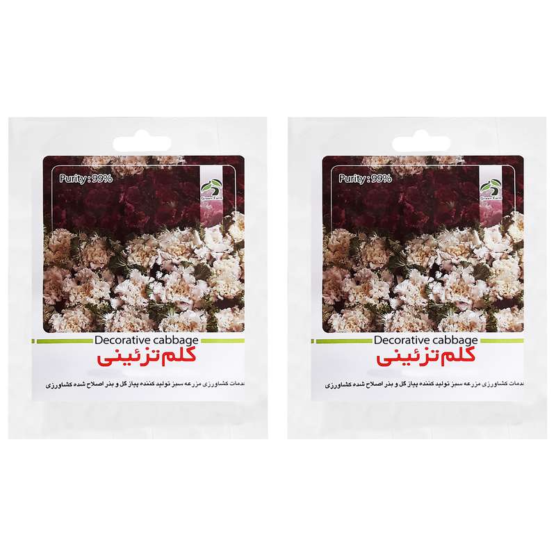 بذر کلم تزیینی گرین فارم کد LMN 1 بسته 2 عددی