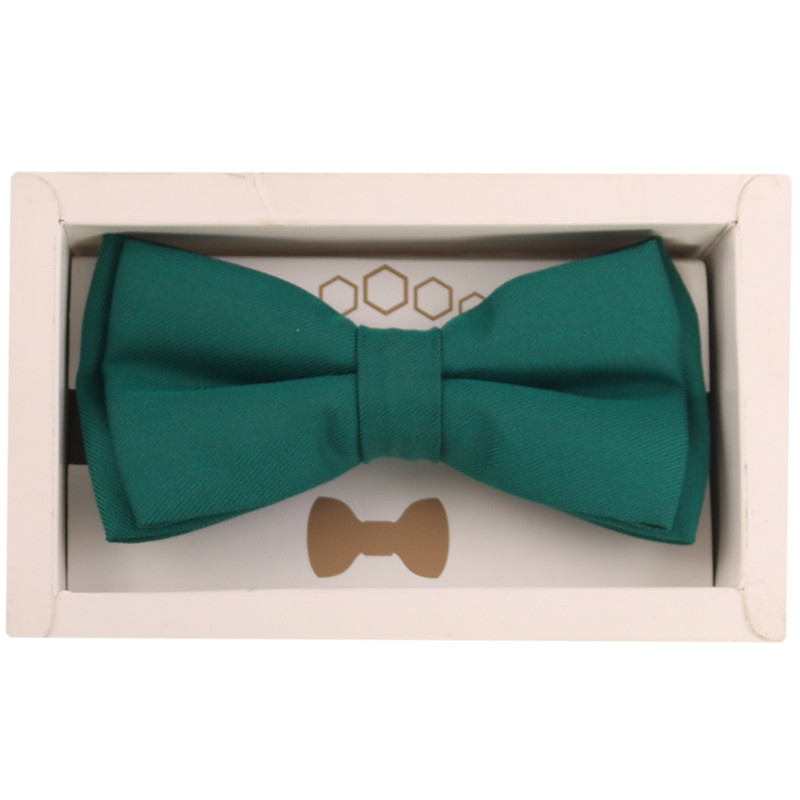 پاپیون مردانه مدل PJ-109361