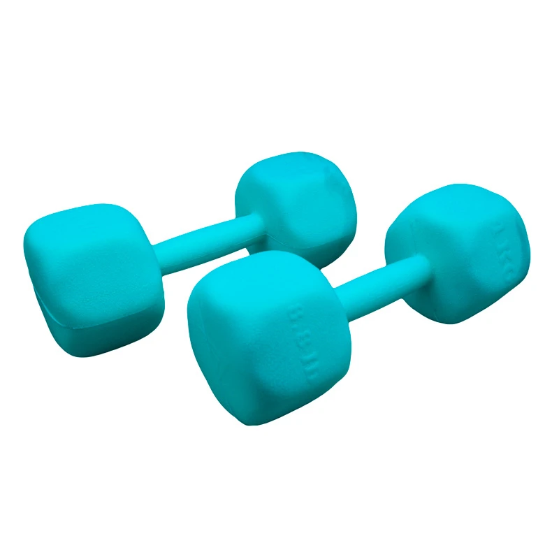 دمبل چند ضلعی 4 کیلوگرم مدل GS-M-197500 بسته دو عددی