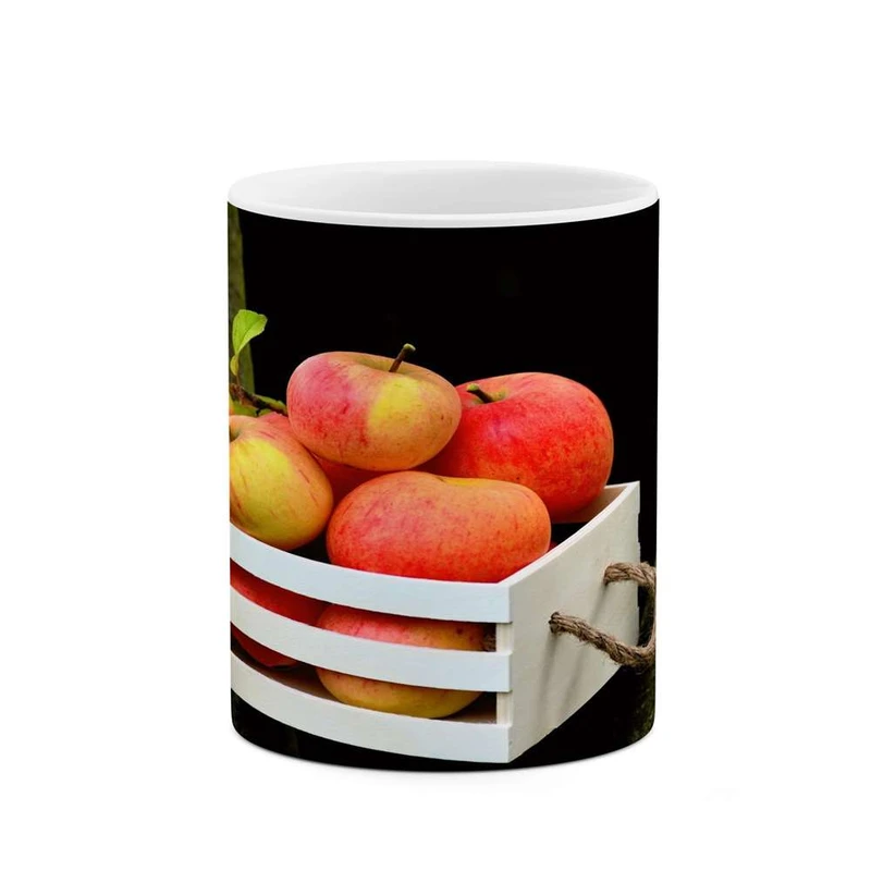 ماگ کاکتی مدل میوه کد mgh14642