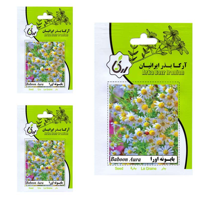 بذر بابونه اورا آرکا بذر ایرانیان کد 41-ARK مجموعه 3 عددی