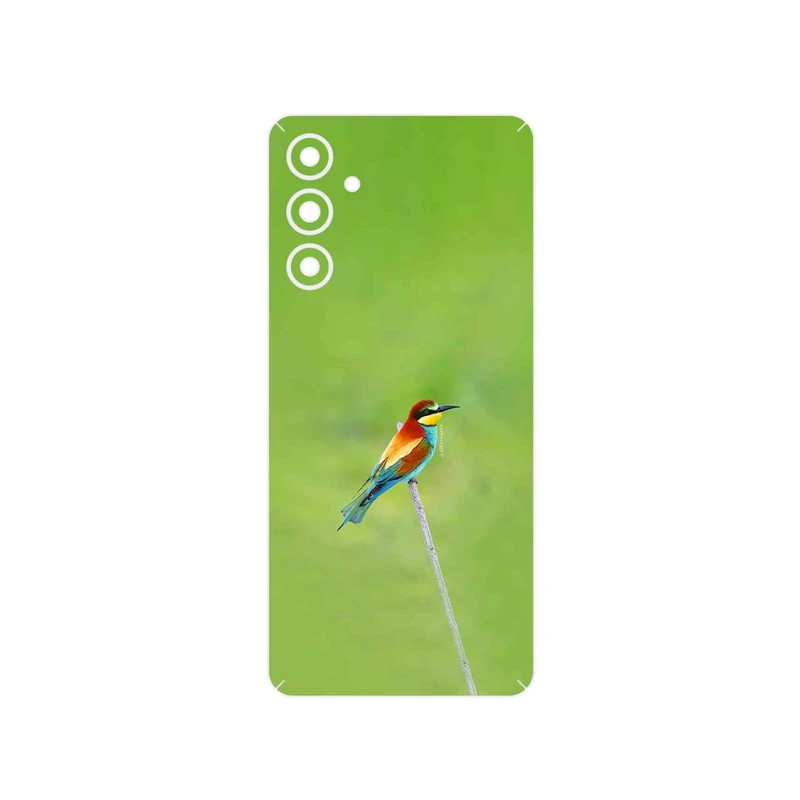 برچسب پوششی ماهوت مدل European bee-eater مناسب برای گوشی موبایل سامسونگ Galaxy F54