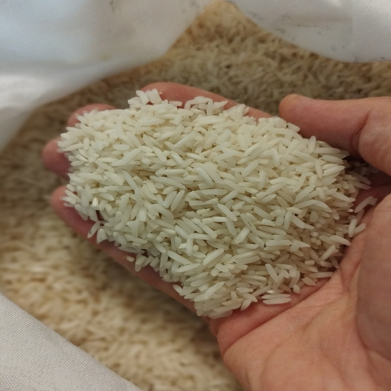 برنج شیرودی شمال - ۱۰ کیلوگرم