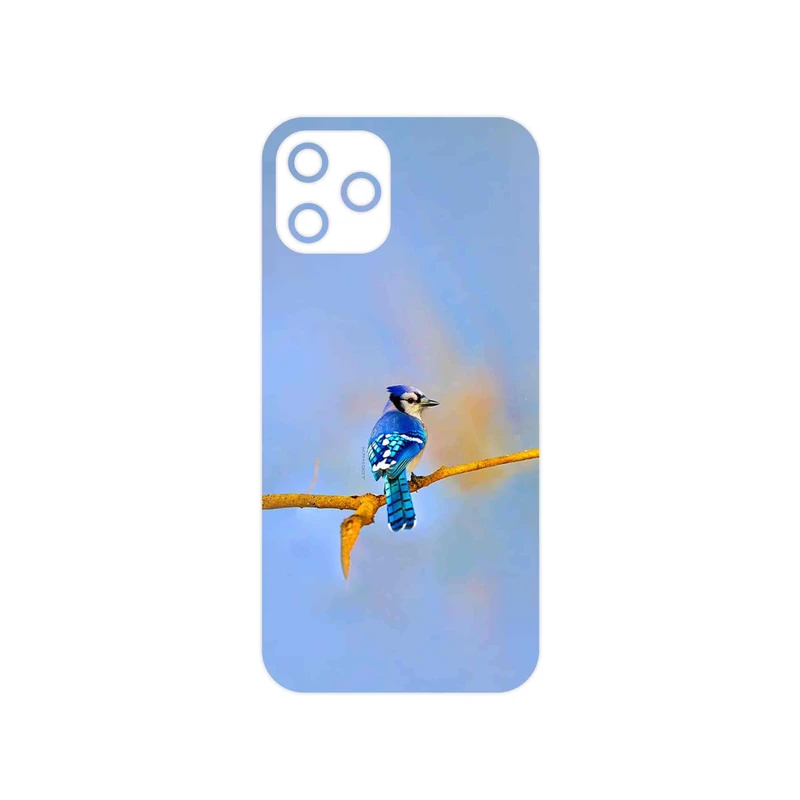 برچسب پوششی ماهوت مدل Cyanocitta cristata مناسب برای گوشی موبایل اپل iPhone 12 Pro