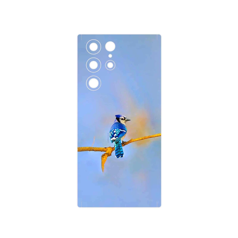 برچسب پوششی ماهوت مدل Cyanocitta cristata مناسب برای گوشی موبایل سامسونگ Galaxy S22 Ultra 5G