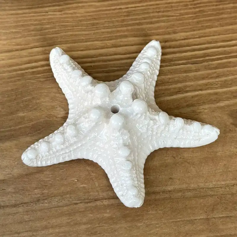 جا عودی مدل ستاره دریایی