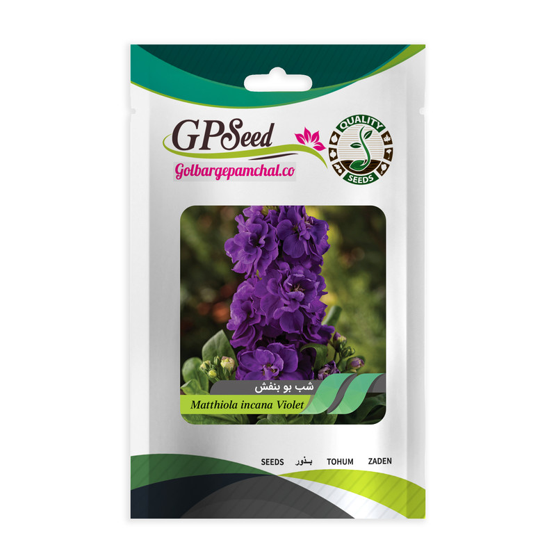 بذر گل شب بو بنفش گلبرگ پامچال کد GPF-256 بذر گل شب بو بنفش گلبرگ پامچال کد GPF-256