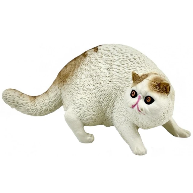 فیگور مدل گربه طرح ExoticShorthair کد CA954-7 ارتفاع 5 سانتی‌متر
