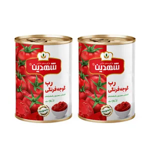 کنسرو رب گوجه فرنگی شهدین - 400 گرم بسته 2 عددی