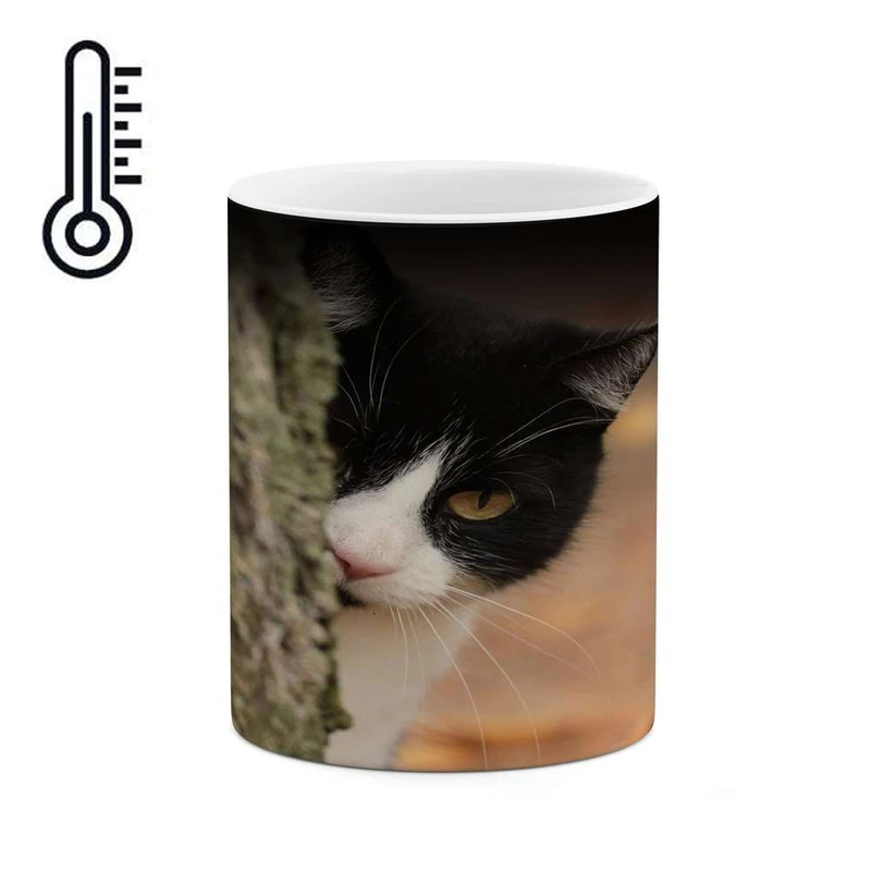 ماگ حرارتی کاکتی مدل گربه کد mgh16200