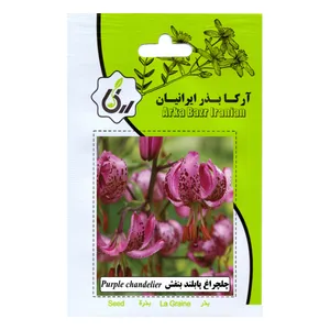 بذر چلچراغ پابلند بنفش آرکا بذر ایرانیان مدل C65