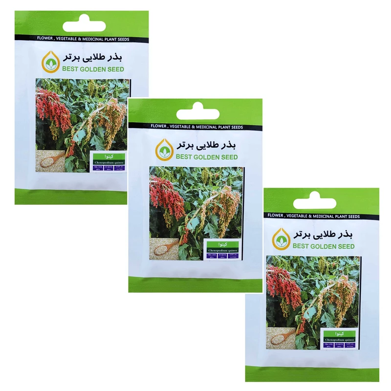 بذر گیاه دارویی کینوا بذر طلایی برتر کد BTB-104 مجموعه 3 عددی