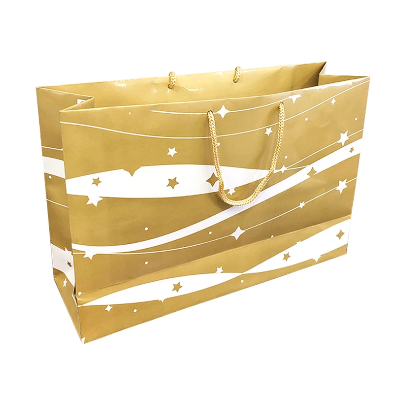 ساک دستی مدل لاکچری کد 166.2 بسته 12 عددی