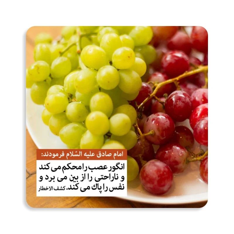 مگنت طرح حدیث تغذیه کد M111