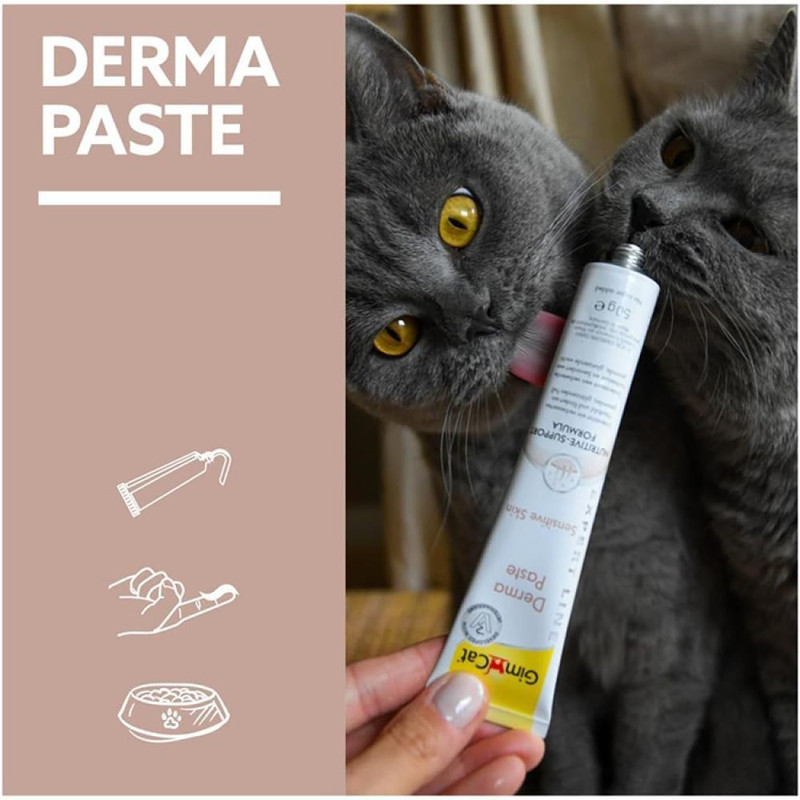 خمیر تشویقی پوست و مو گربه جیم کت مدل Derma Paste وزن 50 گرم