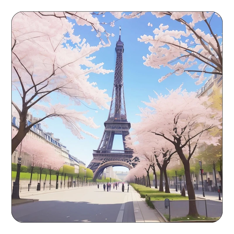 مگنت کاکتی طرح پاریس Paris مدل mp56925