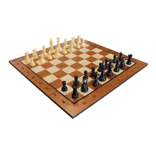 شطرنج مدل کژوال کیش
