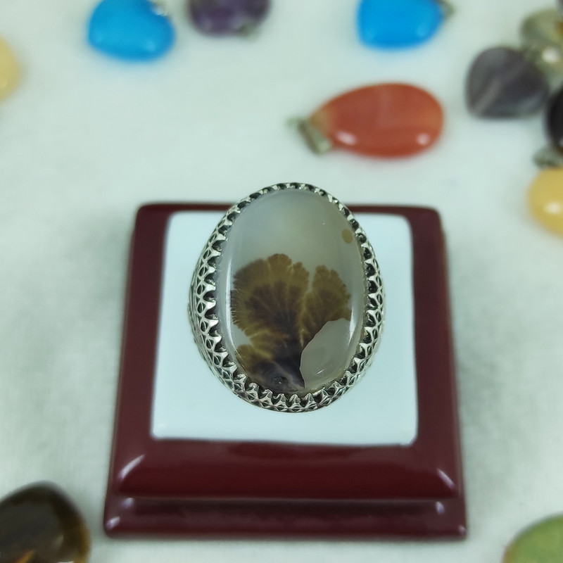 انگشتر نقره مردانه سلین کالا مدل عقیق شجر کد 37 انگشتر نقره مردانه سلین کالا مدل عقیق شجر کد 37