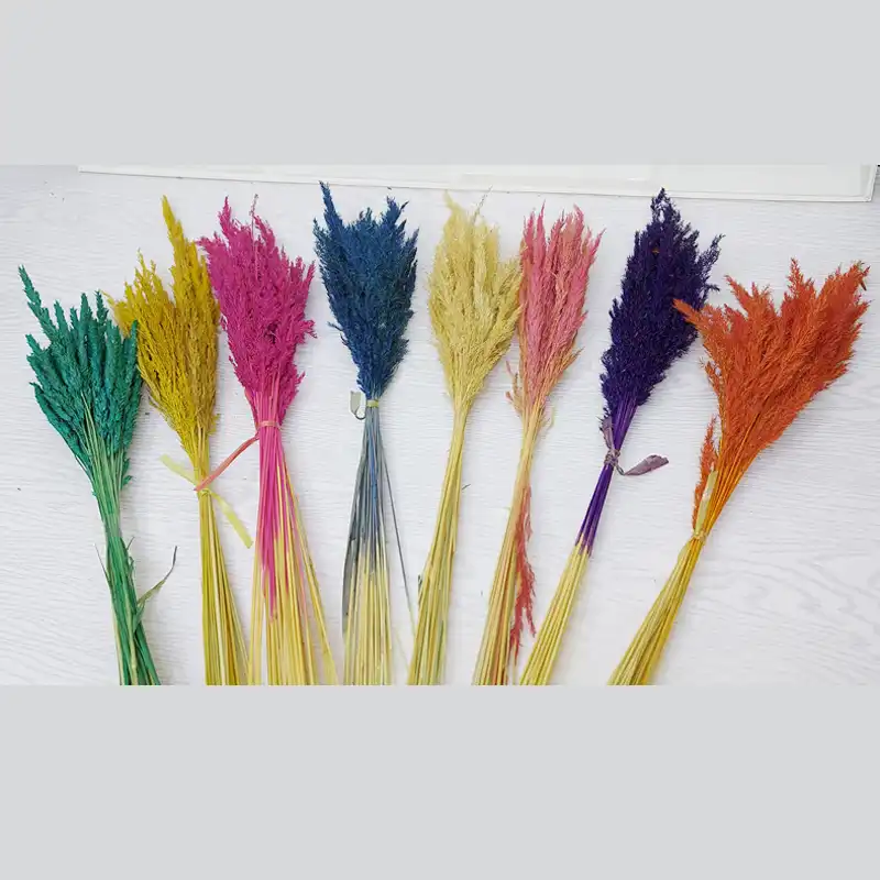 گل خشک مدل قمیش