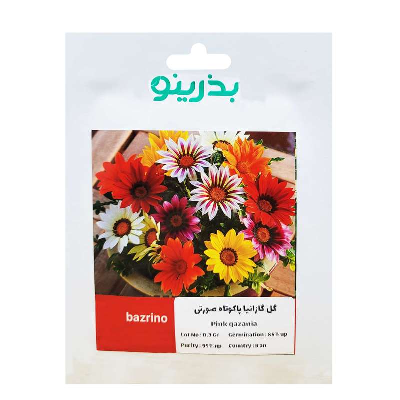 بذر گل گازانیا پاکوتاه صورتی بذرینو کد B-057