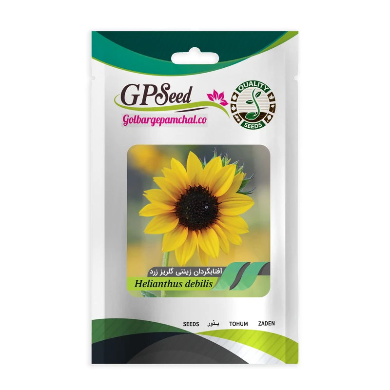 بذر گل آفتابگردان زینتی گلبرگ پامچال کد GPF-006