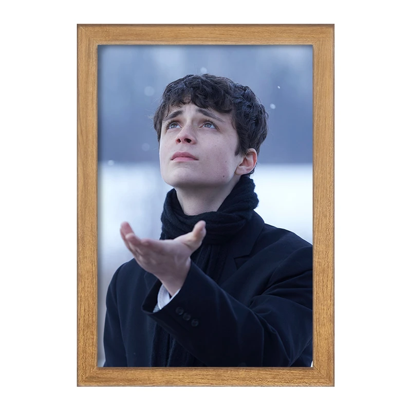 تابلو خندالو مدل گیلبرت سریال آنشرلی کد 28988