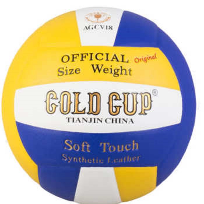 توپ والیبال مدل GOLD450