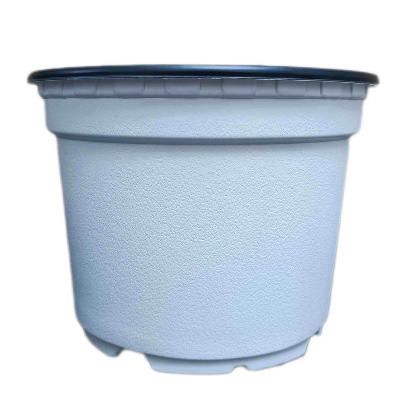 گلدان مدل ژله ای 10cm بسته 30 عددی