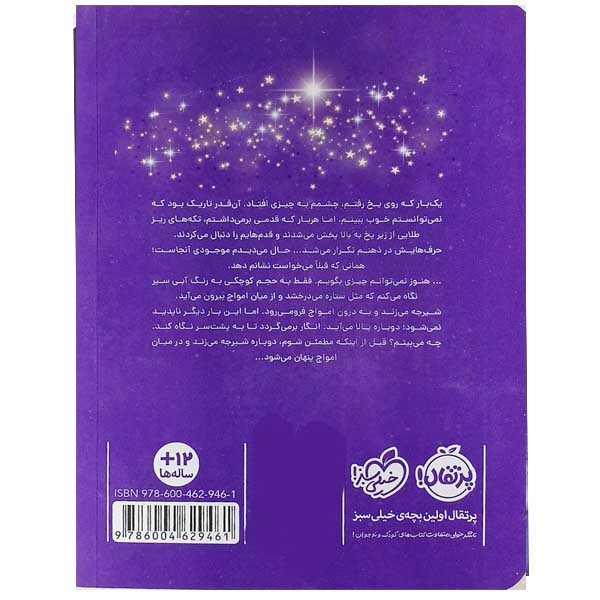 کتاب معمای دریاچه اثر سارا آر. بامن نشر پرتقال