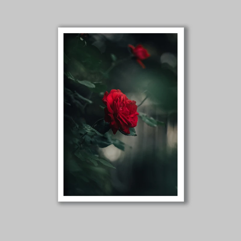 تابلو لیلیان طرح گل رز کد LA-G10239