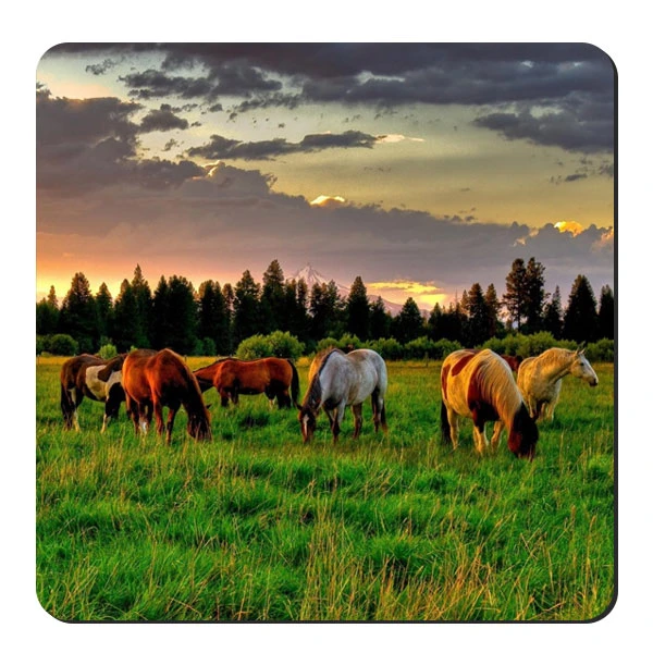  زیر لیوانی طرح اسب ها در دشت کد nzl655